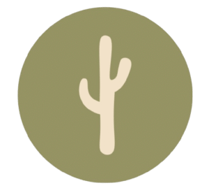 קקטוס וולנס | שיעור יוגה שבועי בקבוצה | שיעור יוגה פרטי | סשן ריברסינג | אמבטית קרח